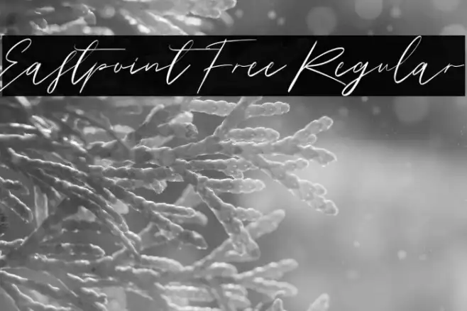 Eastpoint Free Regular Example 3
