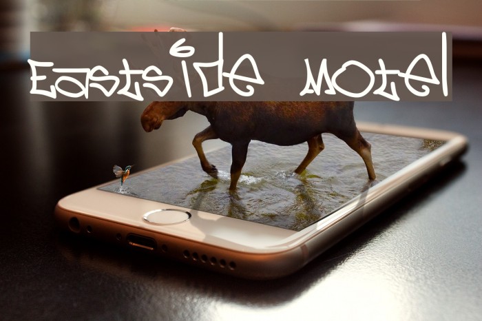Eastside Motel Schriftart examples