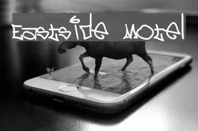 Eastside Motel Font examples
