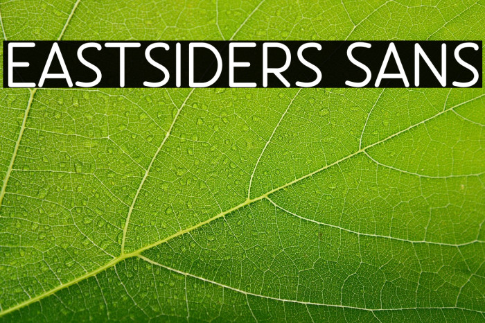Eastsiders Sans Example 2