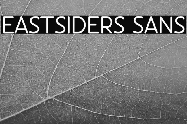 Eastsiders Sans Example 2