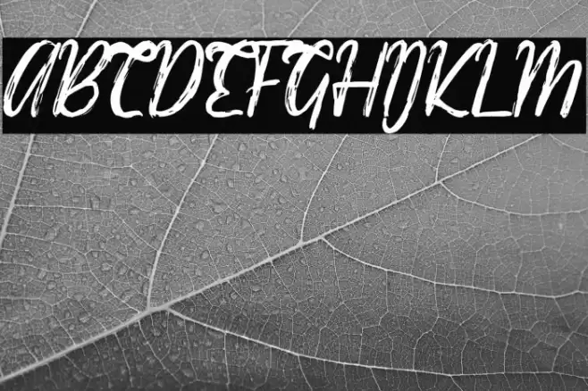 Easttalia Font examples