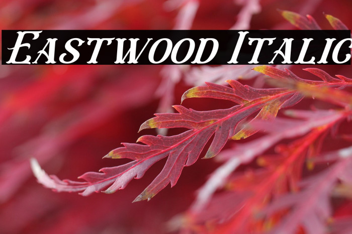 Eastwood Italic Example 1