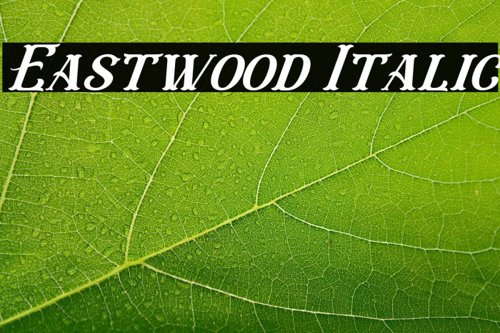 Eastwood Italic Example 2