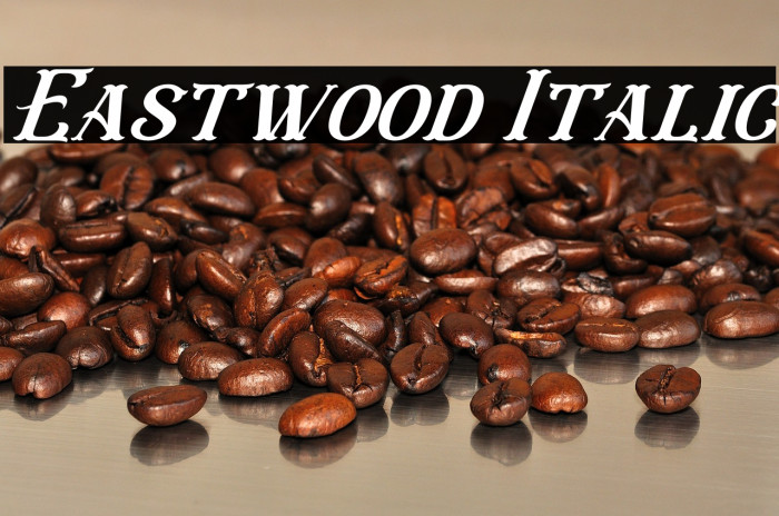 Eastwood Italic Example 3