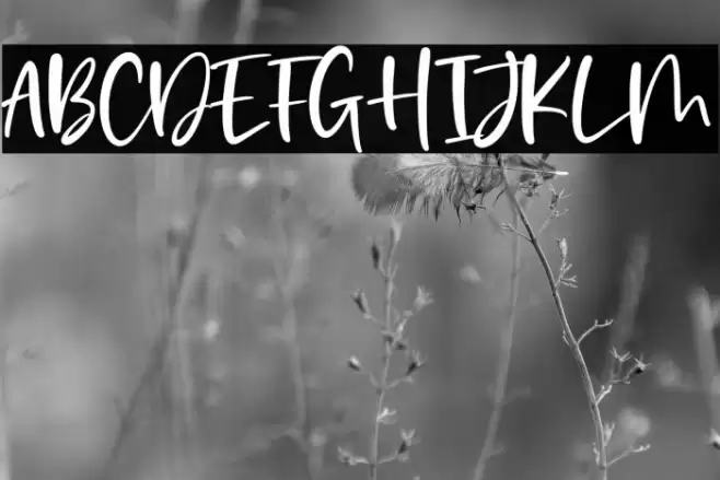 Eastwood Font examples