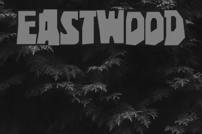 Eastwood Example 3