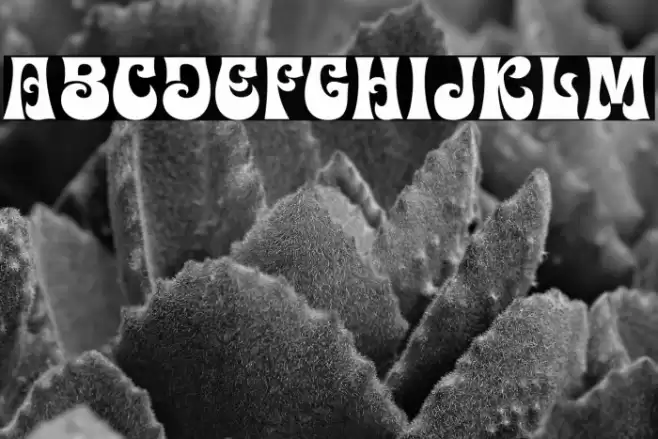 Easy Bond Schriftart examples