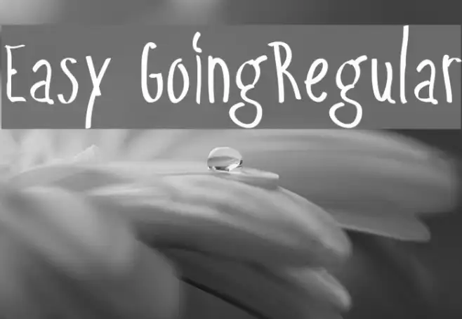 Easy GoingRegular Example 3