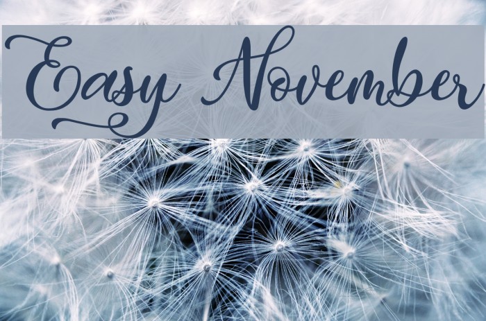 Easy November Fonte examples