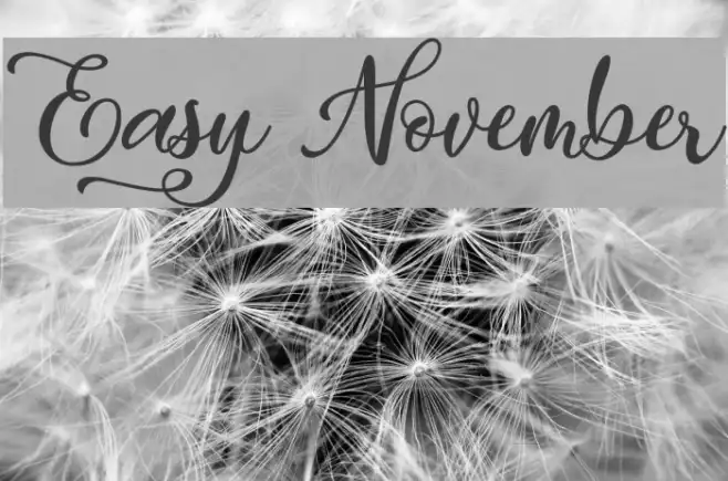 Easy November Example 1