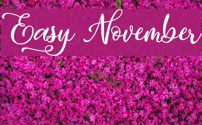 Easy November Fonte examples
