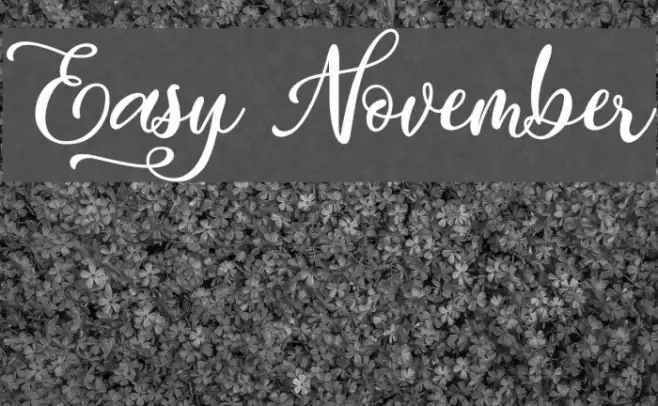 Easy November Example 2