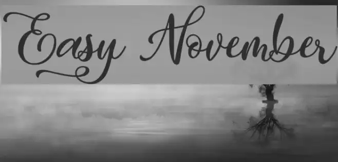 Easy November Example 3