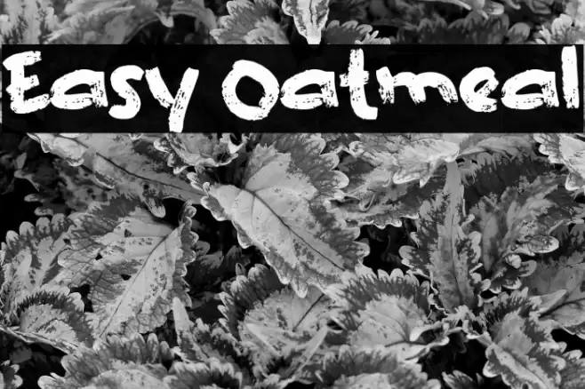 Easy Oatmeal Font examples