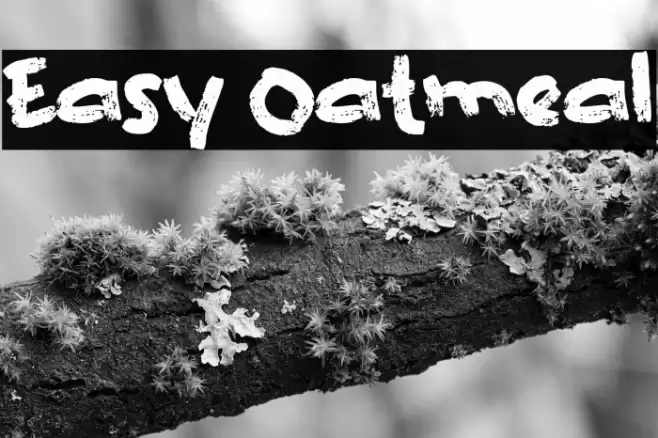Easy Oatmeal Font examples