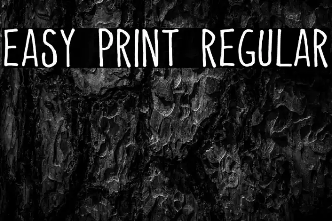 Easy Print Regular Font examples