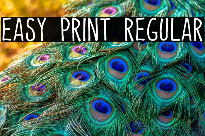 Easy Print Regular Font examples