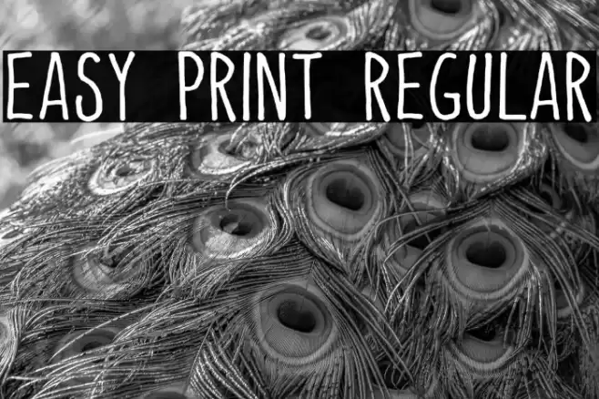 Easy Print Regular Font examples