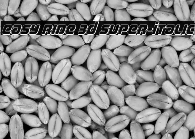 Easy Ride 3D Super-Italic Example 1
