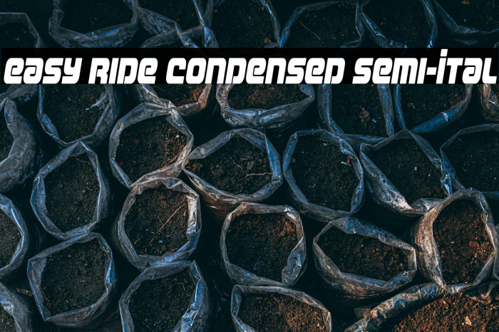 Easy Ride Condensed Semi-Ital Example 1