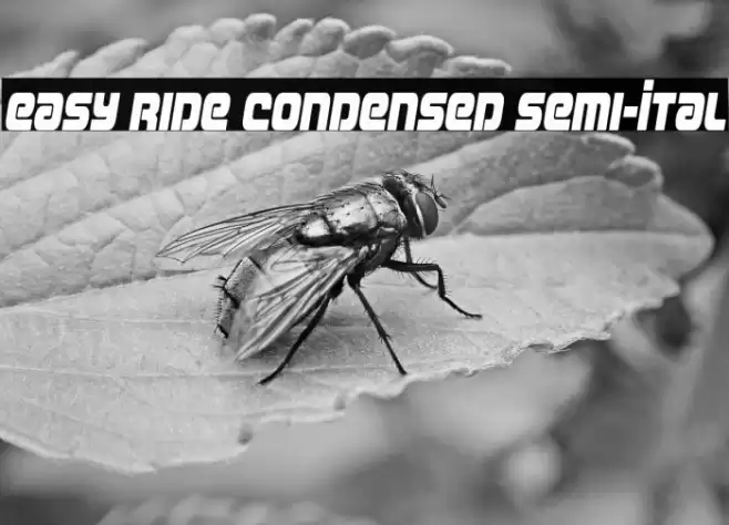 Easy Ride Condensed Semi-Ital Font examples