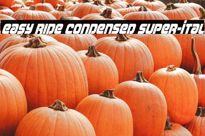 Easy Ride Condensed Super-Ital Example 2