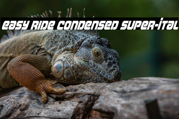 Easy Ride Condensed Super-Ital Example 3