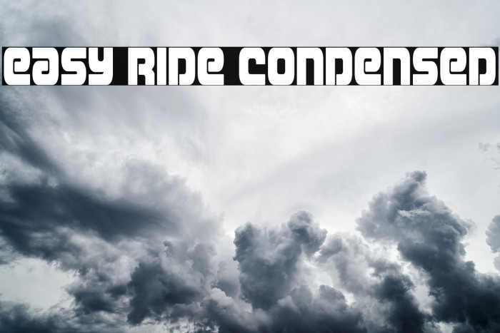 Easy Ride Condensed Example 1
