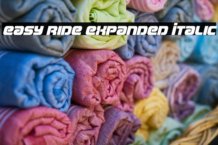 Easy Ride Expanded Italic Example 1