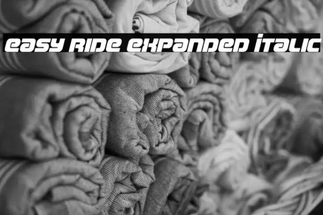 Easy Ride Expanded Italic Example 1
