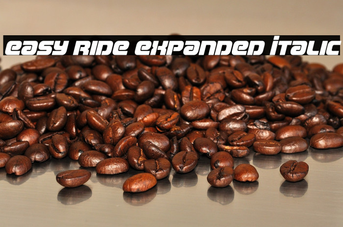 Easy Ride Expanded Italic Example 3