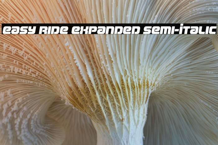 Easy Ride Expanded Semi-Italic Example 1