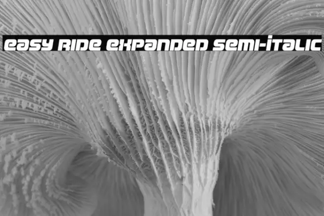 Easy Ride Expanded Semi-Italic Example 1