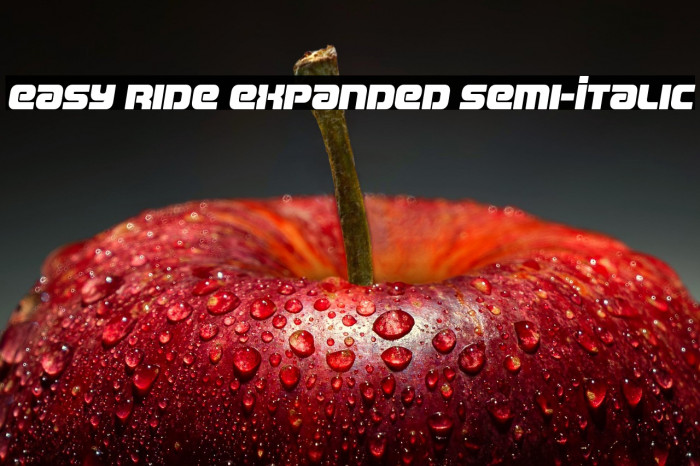 Easy Ride Expanded Semi-Italic Example 2