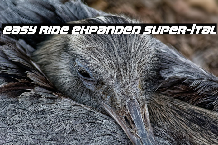 Easy Ride Expanded Super-Ital Example 1