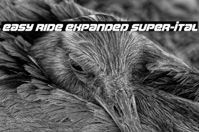Easy Ride Expanded Super-Ital Font examples