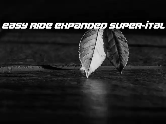 Easy Ride Expanded Super-Ital Font examples