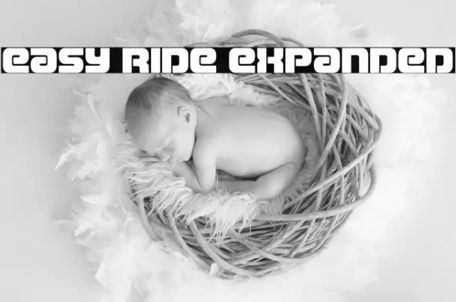 Easy Ride Expanded Font examples
