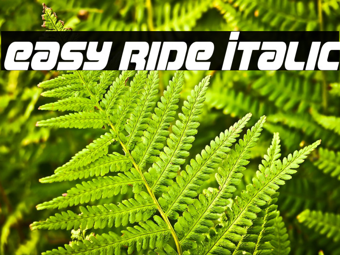 Easy Ride Italic Example 1