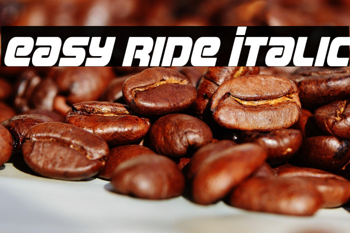 Easy Ride Italic Example 2