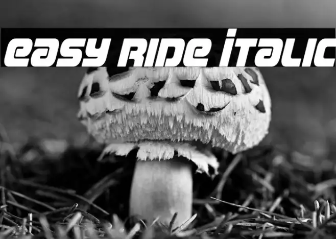 Easy Ride Italic Example 3
