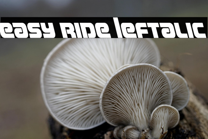 Easy Ride Leftalic Example 3