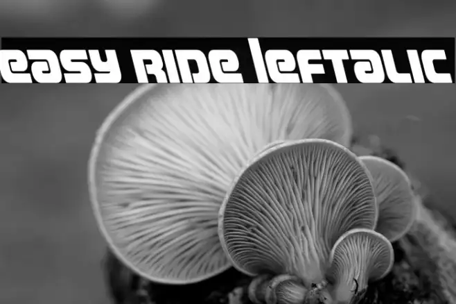 Easy Ride Leftalic Example 3
