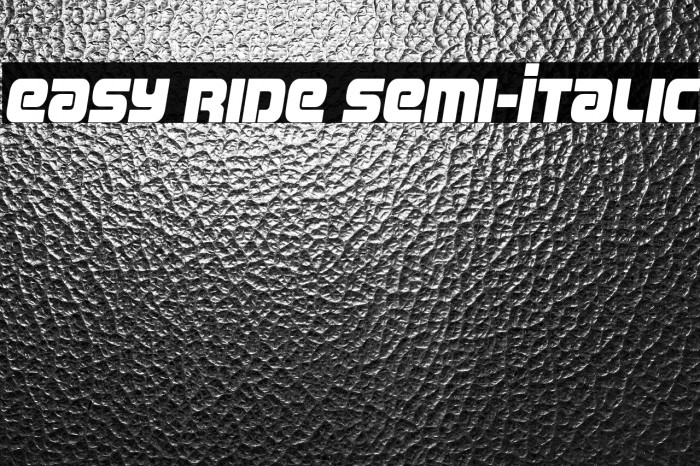 Easy Ride Semi-Italic Example 2