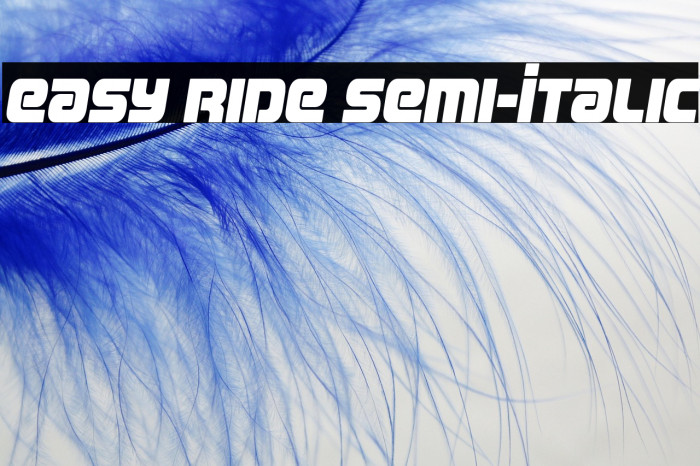Easy Ride Semi-Italic Example 3