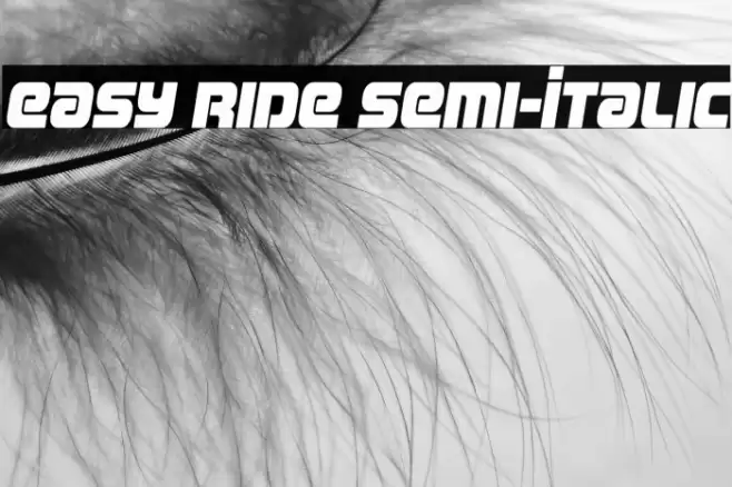 Easy Ride Semi-Italic Font examples