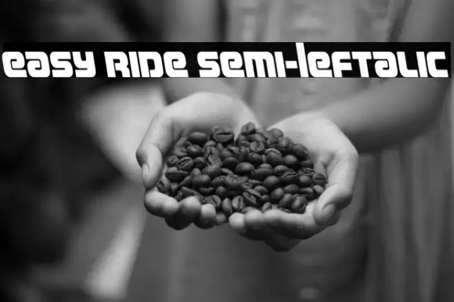 Easy Ride Semi-Leftalic Example 1
