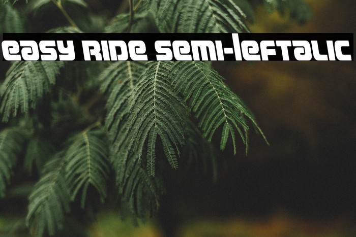 Easy Ride Semi-Leftalic Example 2