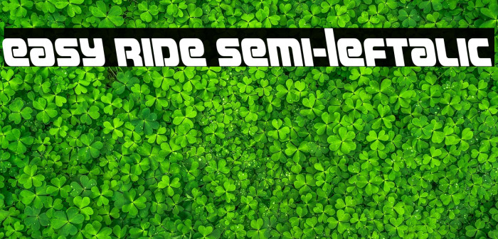 Easy Ride Semi-Leftalic Example 3